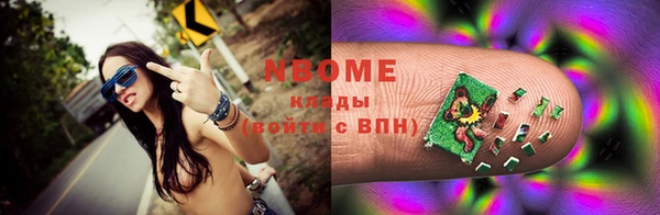 гидра Елизово