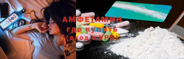шишки Дмитров