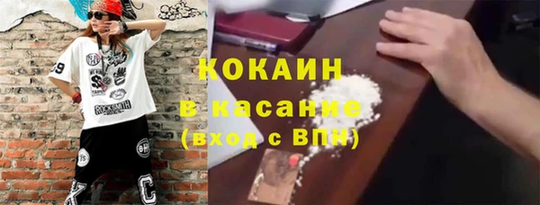 шишки Дмитров