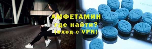 гидра Елизово