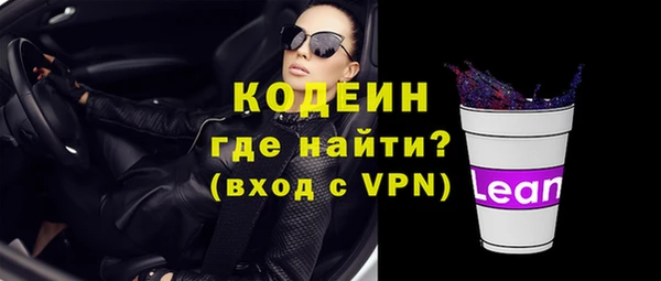 твердый Дмитровск