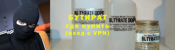 шишки Дмитров