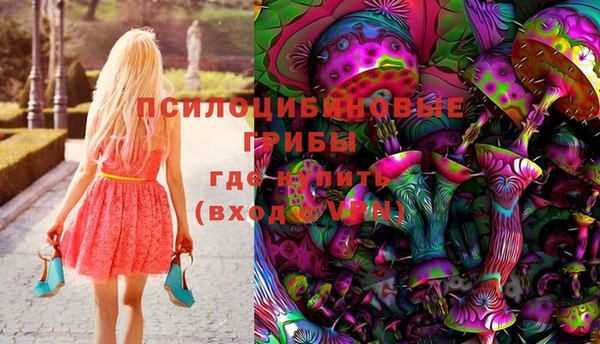 шишки Дмитров