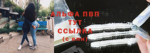 твердый Дмитровск