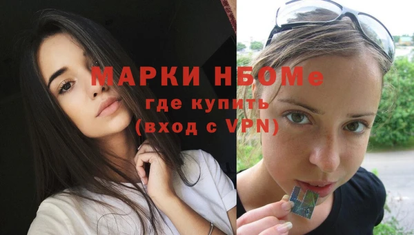 шишки Дмитров
