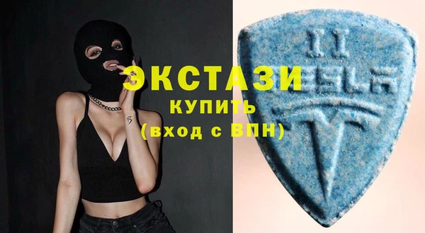 гидра Елизово