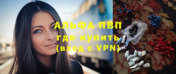 шишки Дмитров
